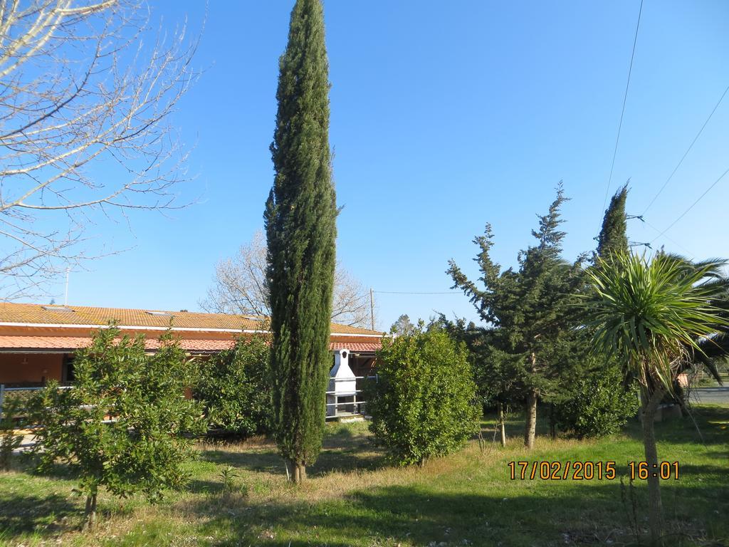 Agriturismo Il Cipresso Villa Vada Exterior photo